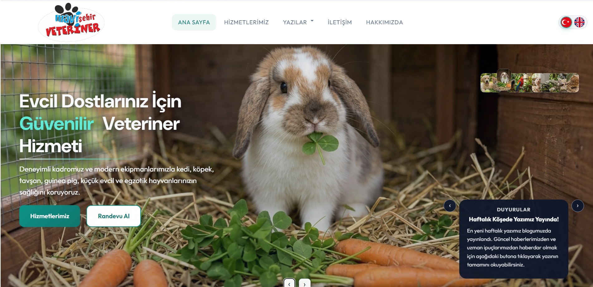 Mavişehir Veteriner — mavisehirvet.com